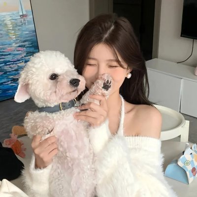 茶舞海报