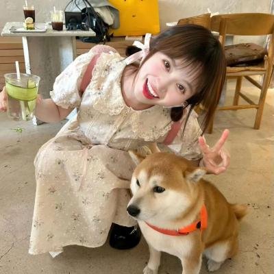 栋笃小天后海报