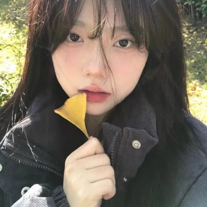 她来自胡志明市海报